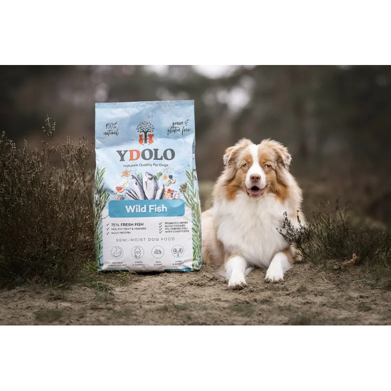 Pełnoporcjowa karma YDOLO Wild Fish dla dorosłych i starszych psów