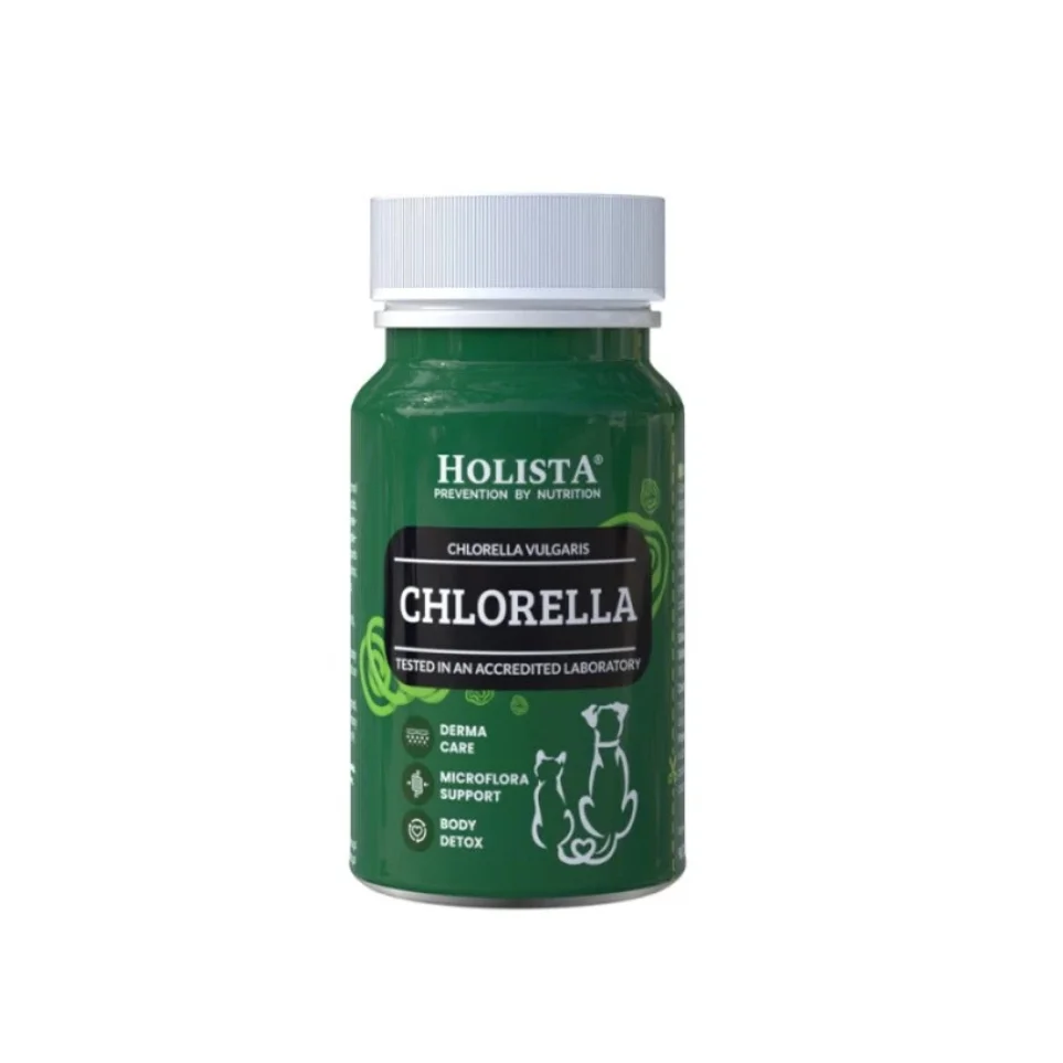 Chlorella w tabletkach dla psów i kotów – naturalne wsparcie detoksykacji i odporności