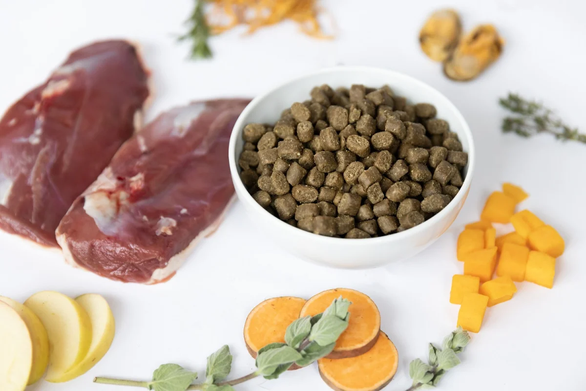 Karma YDOLO Duck ze świeżej kaczki z dodatkiem superfood