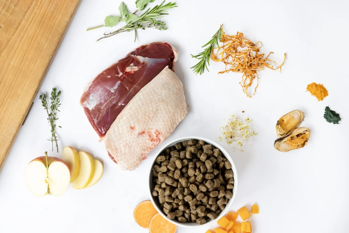 YDOLO Pure Duck - karma półwilgotna dla psa, 10kg - obrazek 4