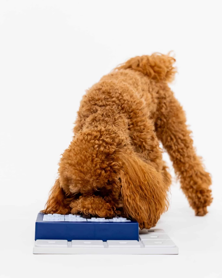 Moduł Louvre do zabawki PAWZLER o trudności 2