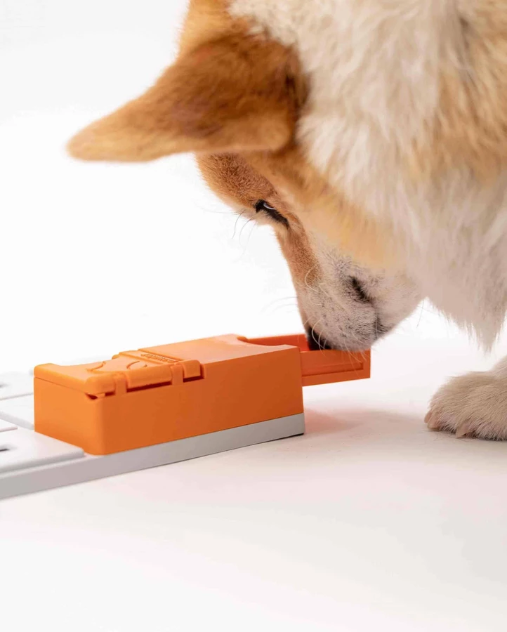 Moduł PAWZLER Maya z pokrywą i wysuwaną szufladą