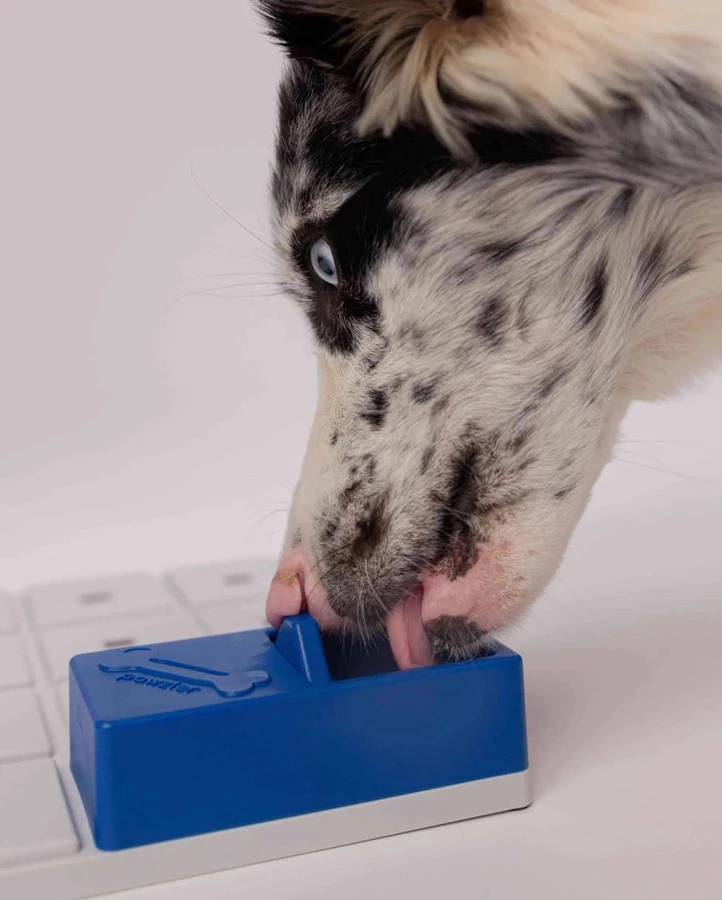 Interaktywny klocek PAWZLER Onix z przesuwaną pokrywą