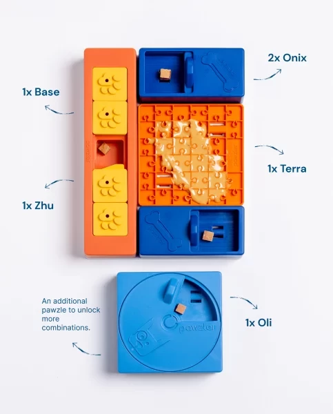 Zestaw PAWZLER Beginner Set z modułami edukacyjnymi